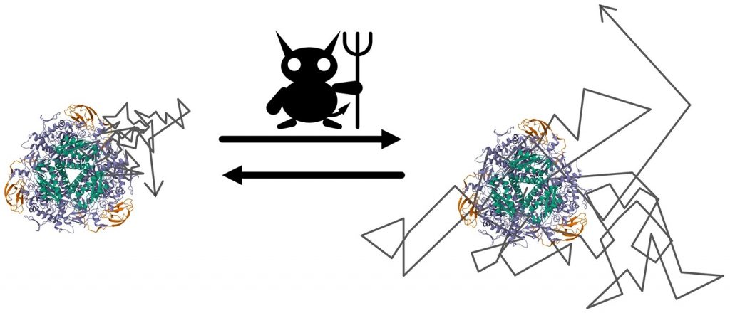 【ELSI】酵素は「マクスウェルの悪魔」として振る舞う