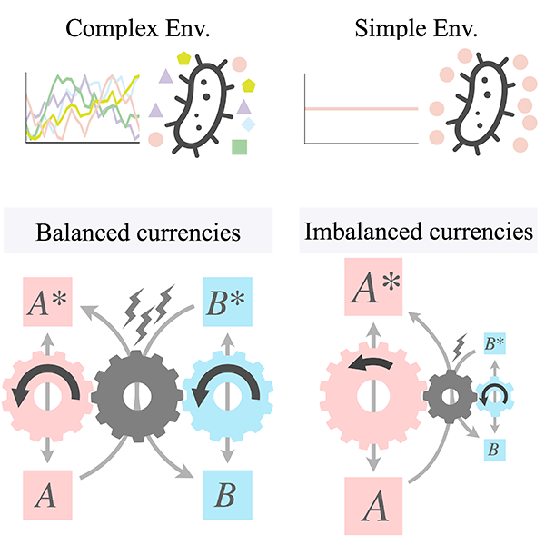 【ELSI】The hidden economics of cellular energy